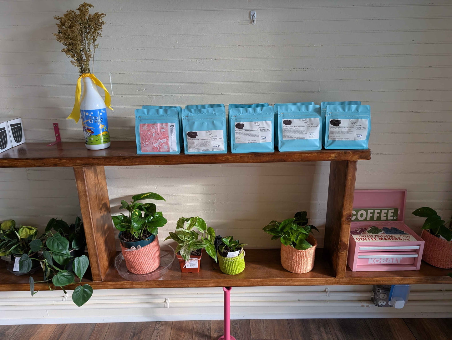 Cat Nap Coffee Subscription - Standard