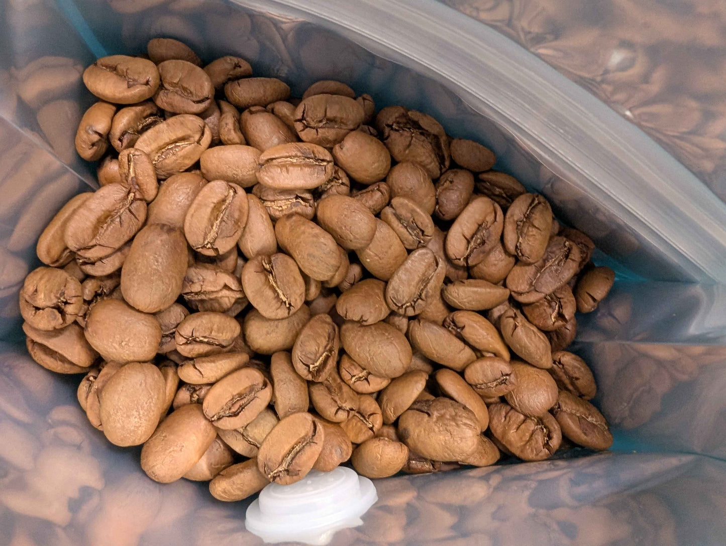 Pacamara Norwegian Yeast Maceration