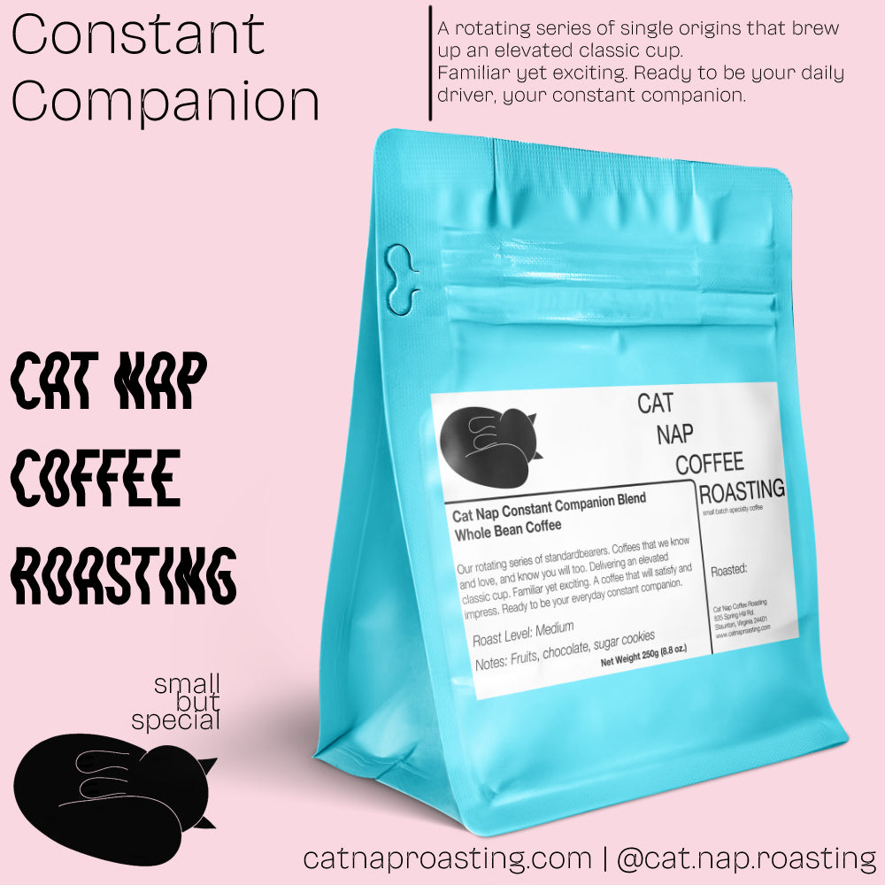 Constant Companion Everyday Series | Finca La Leona Washed Colombia