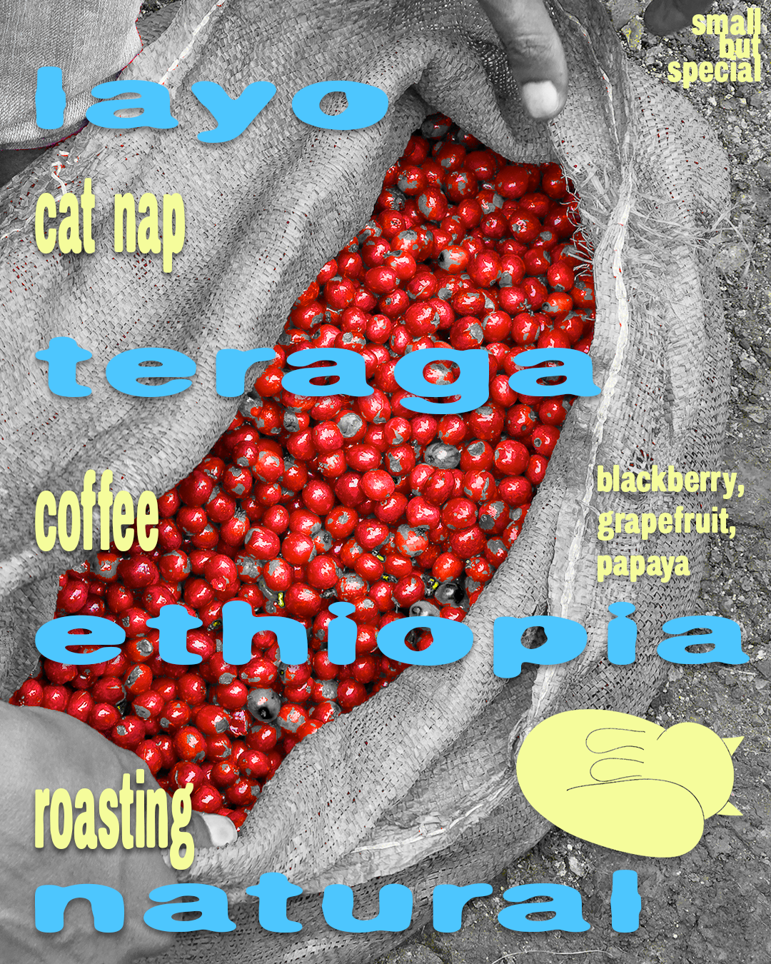 Layo Teraga Ethiopia Guji Natural
