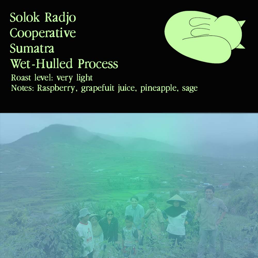 Solok Radjo Cooperative Sumatra | Wet-Hulled Process | Very Light