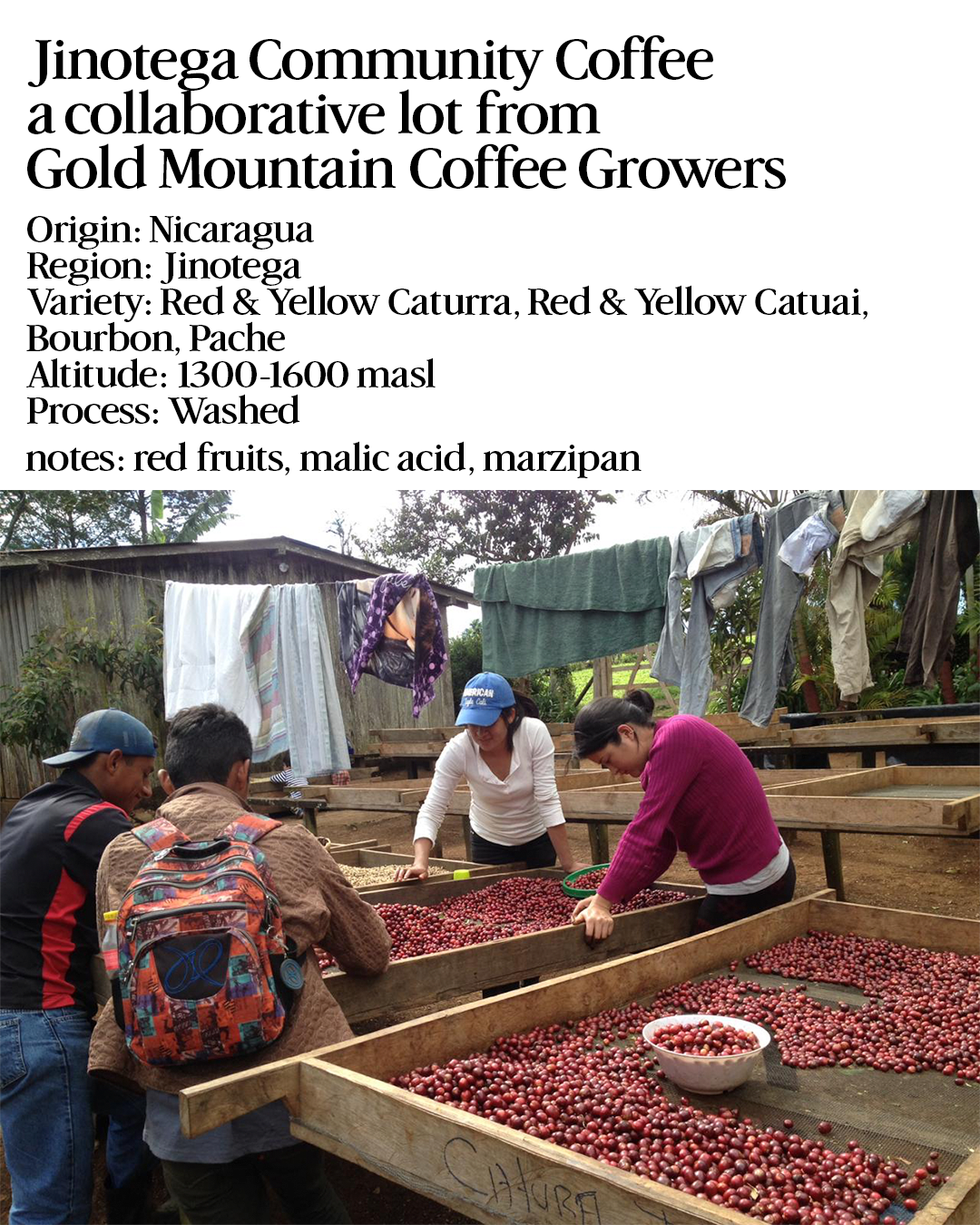 Jinotega Community Coffee