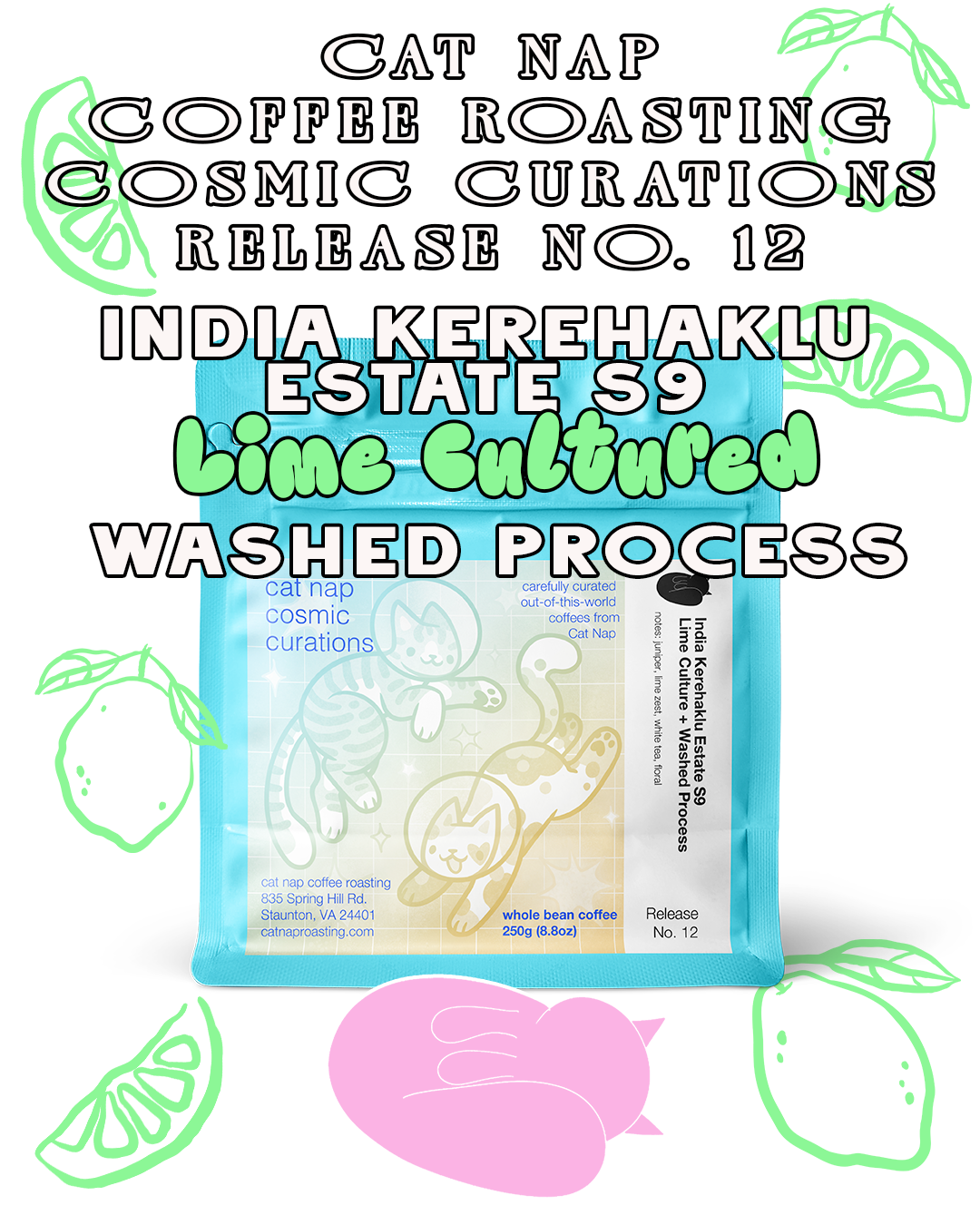India Kerehaklu Estate S9 | Lime Cultured + Washed Process (Cosmic Curations Release No. 12))