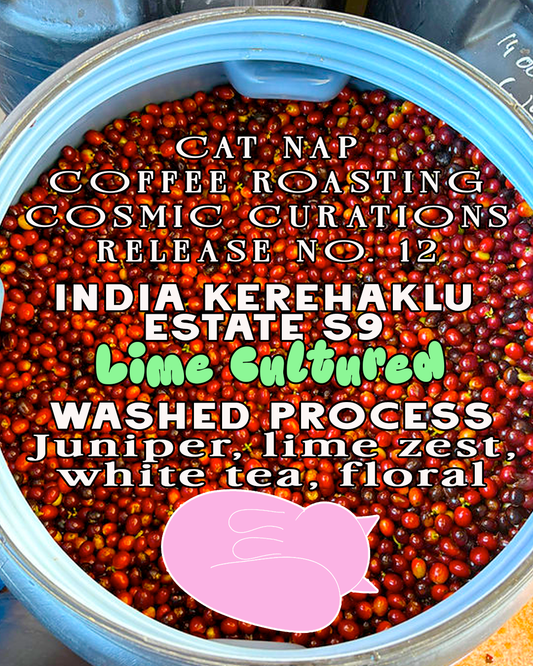 India Kerehaklu Estate S9 | Lime Cultured + Washed Process (Cosmic Curations Release No. 12))