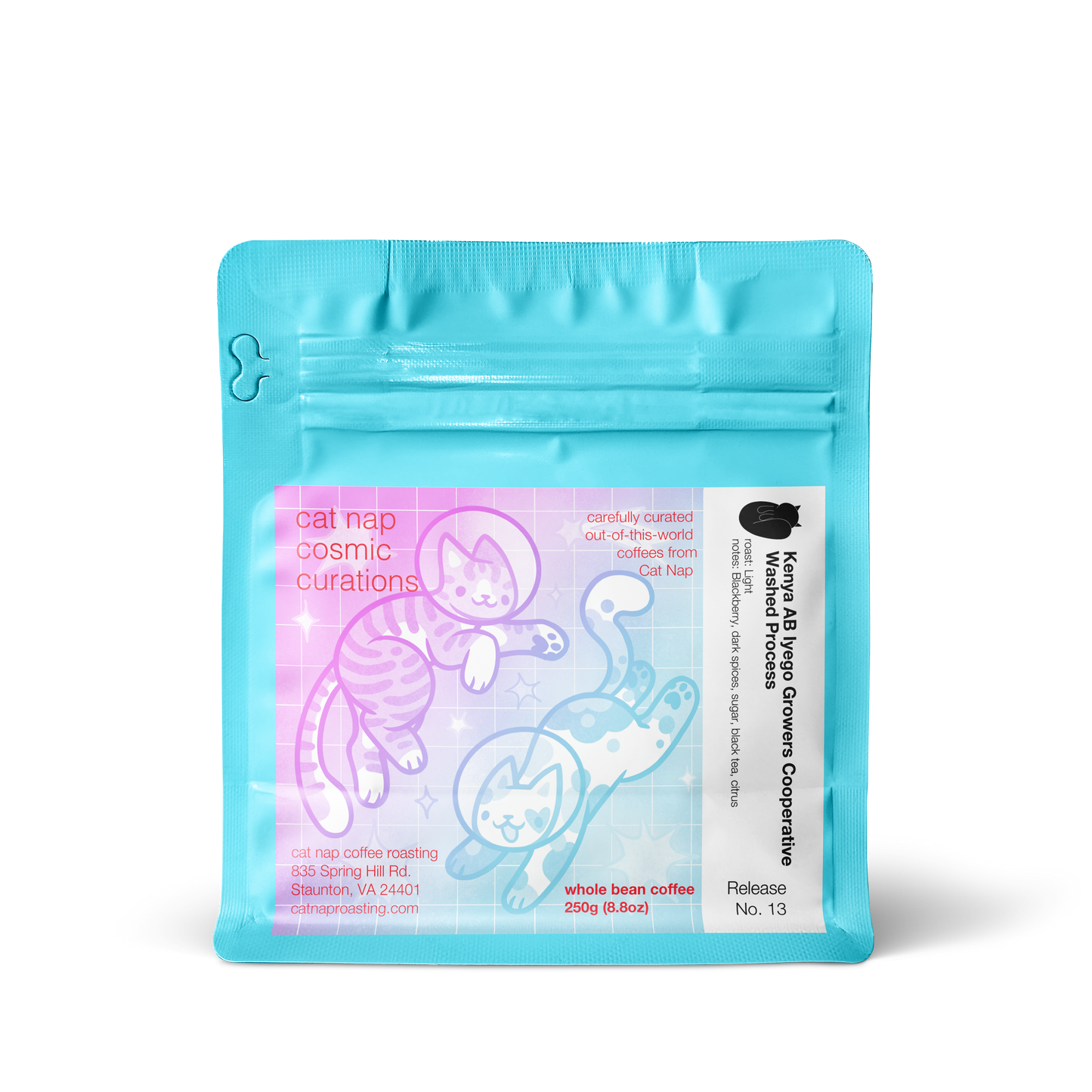 Kenya AB Iyego Growers Cooperative | Washed Process (Cosmic Curations Release No. 13)