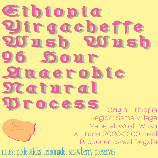 Ethiopia Yirgacheffe Wush Wush 96-Hour Anaerobic Natural