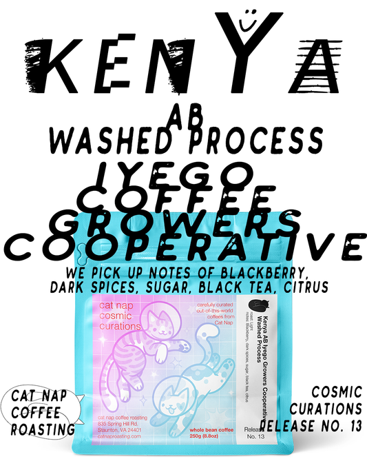 Kenya AB Iyego Growers Cooperative | Washed Process (Cosmic Curations Release No. 13)