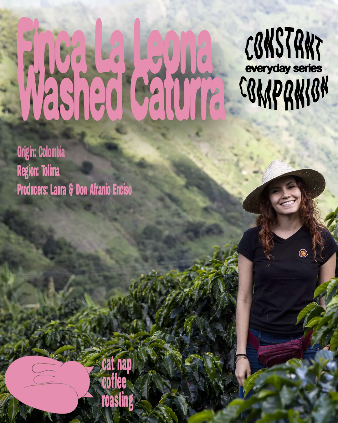 Constant Companion Everyday Series | Finca La Leona Washed Colombia