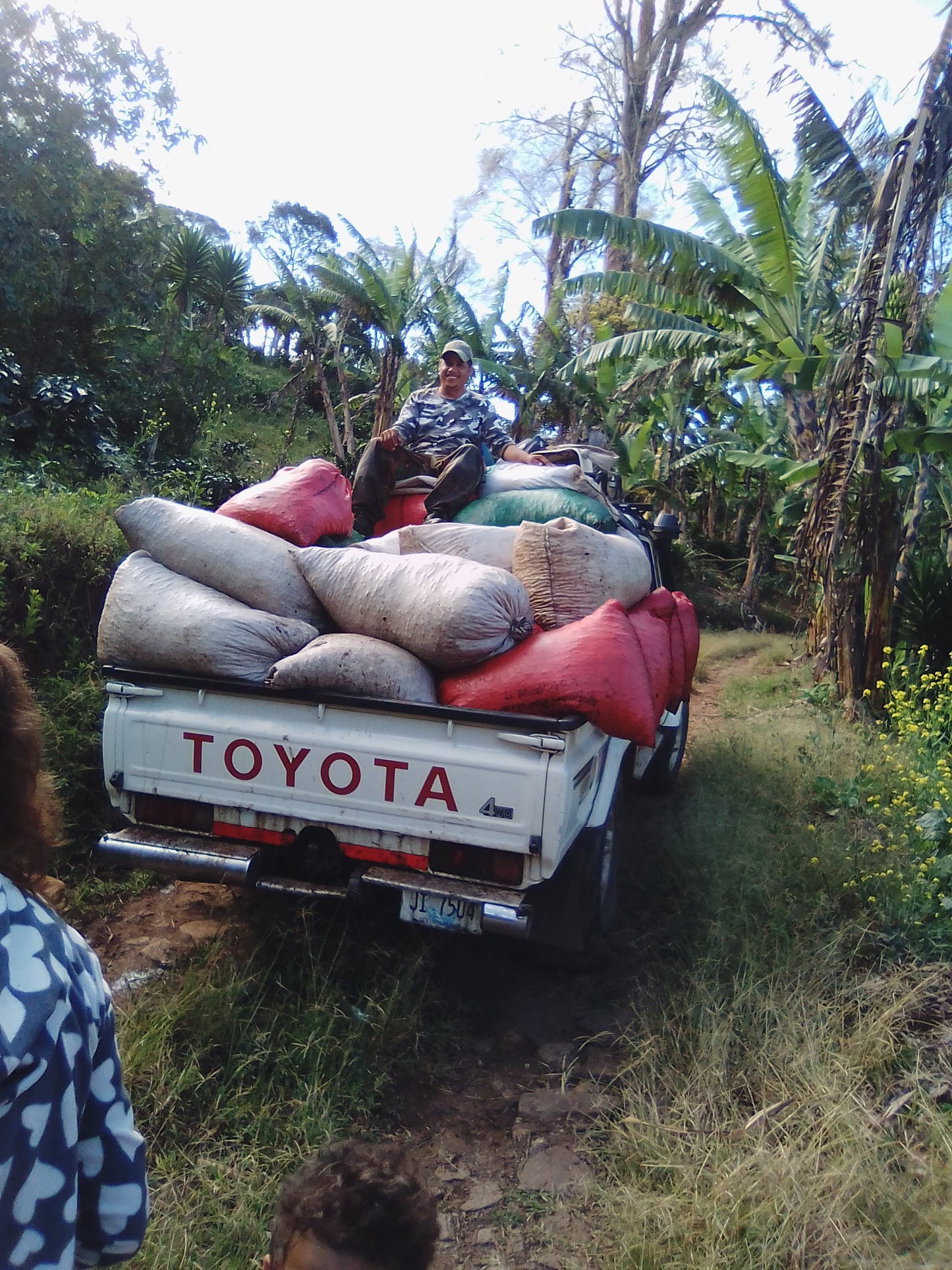 Jinotega Community Coffee