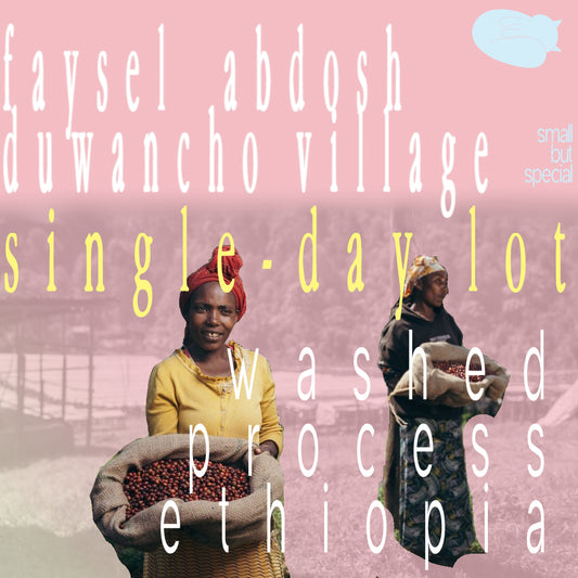 Ethiopia Washed Faysel Abdosh Duwancho Village Single-Day Lot