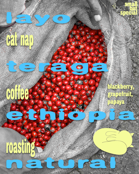 Layo Teraga Ethiopia Guji Natural