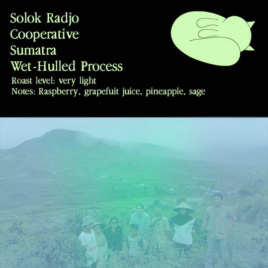 Solok Radjo Cooperative Sumatra | Wet-Hulled Process | Very Light