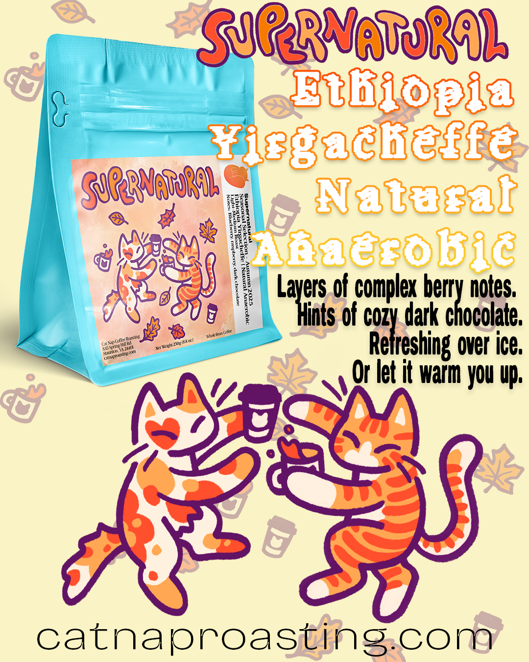 Supernatural | Ethiopia Yirgacheffe - Autumn Seasonal Selection